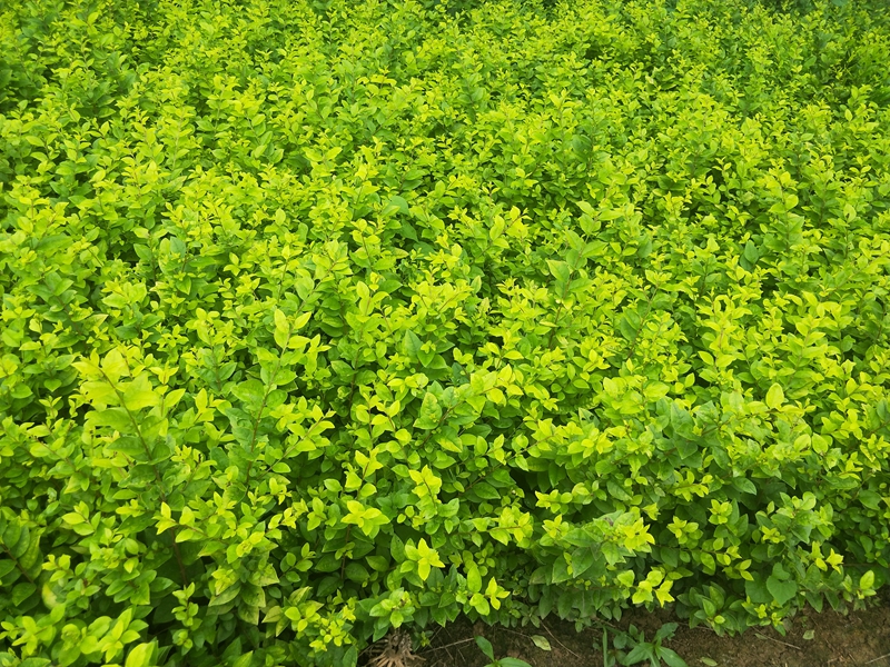 IMG20180703120557.jpg