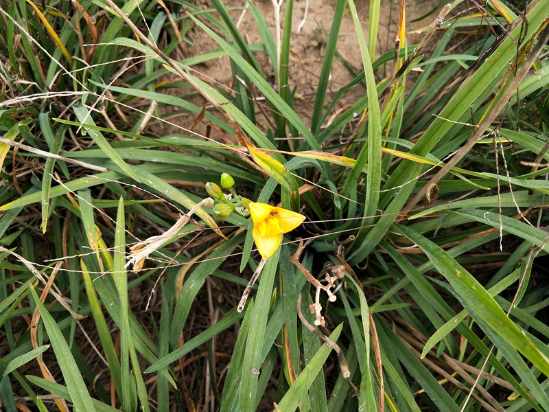 IMG20181015093847.jpg