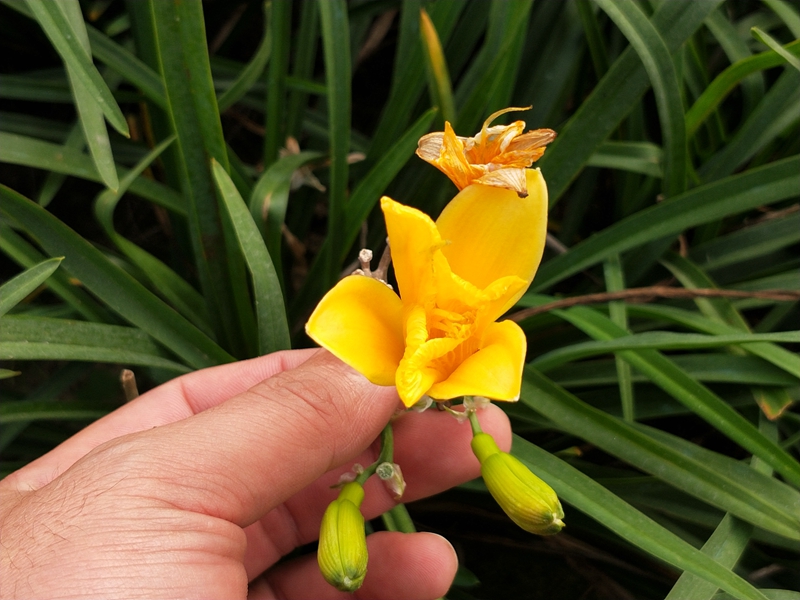 IMG20181016155420.jpg