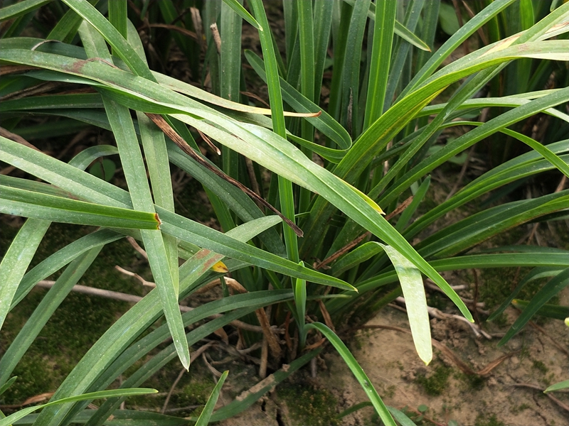IMG20181016155429.jpg