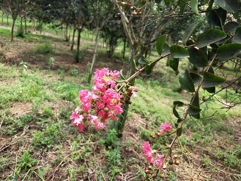 IMG20180712130500.jpg