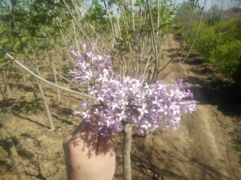 IMG20180407085554.jpg