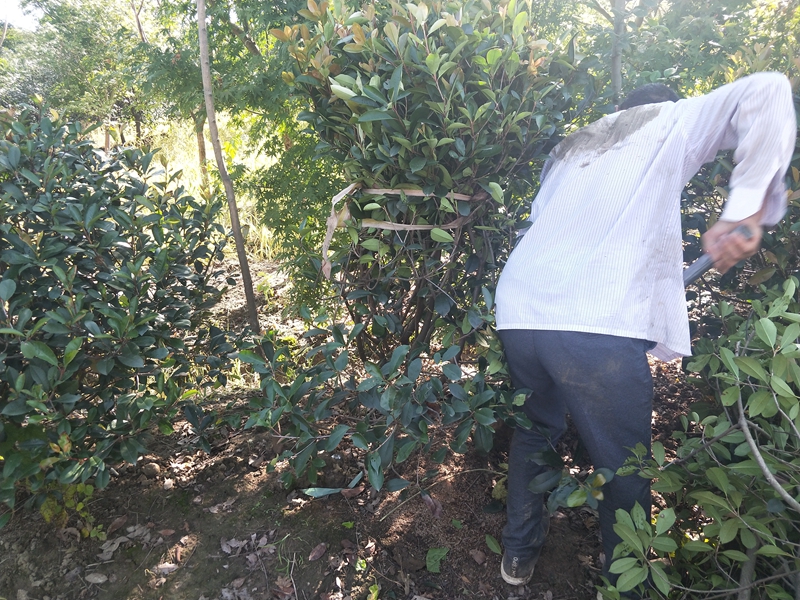 IMG20180823082638.jpg
