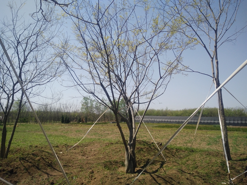 IMG20180407114143.jpg