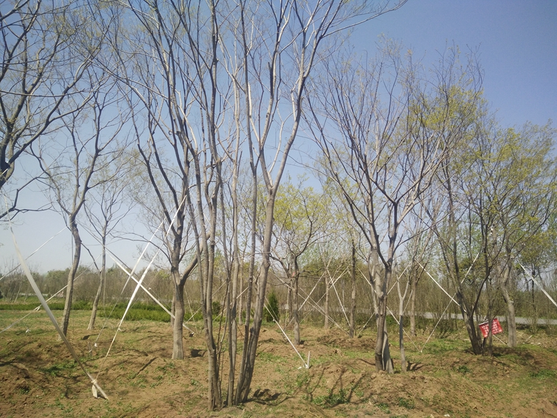 IMG20180407114241.jpg