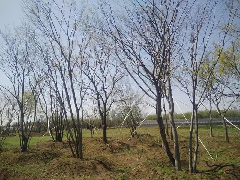IMG20180407114301.jpg