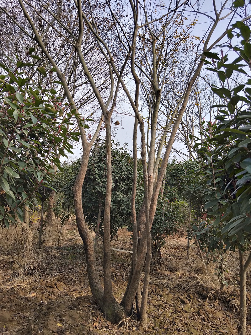 IMG20181201124156.jpg