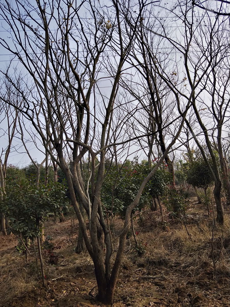 IMG20181201124201.jpg