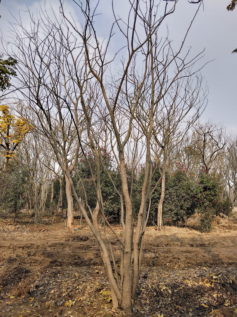 IMG20181201124335.jpg