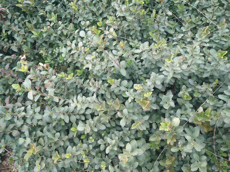 IMG20180317151913.jpg