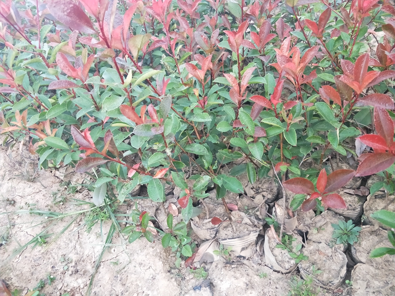 IMG20181007062551.jpg