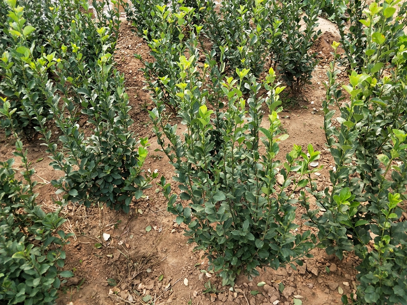 IMG20181017100454.jpg
