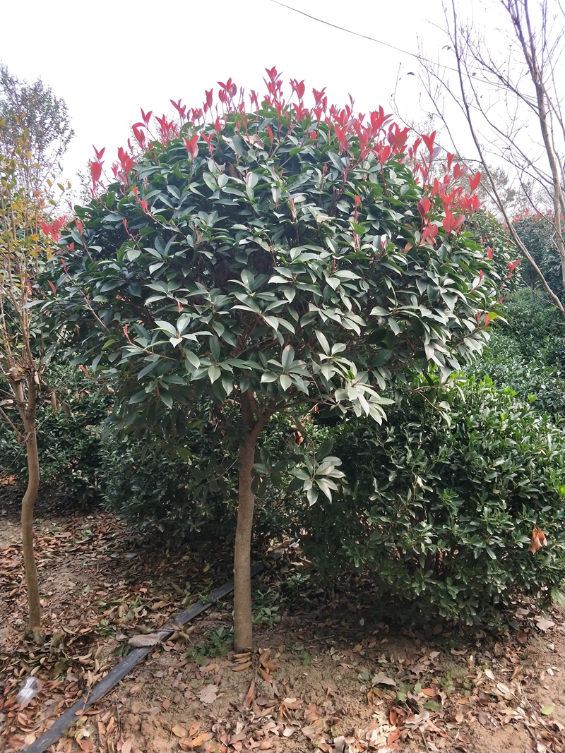 IMG20181017093751.jpg