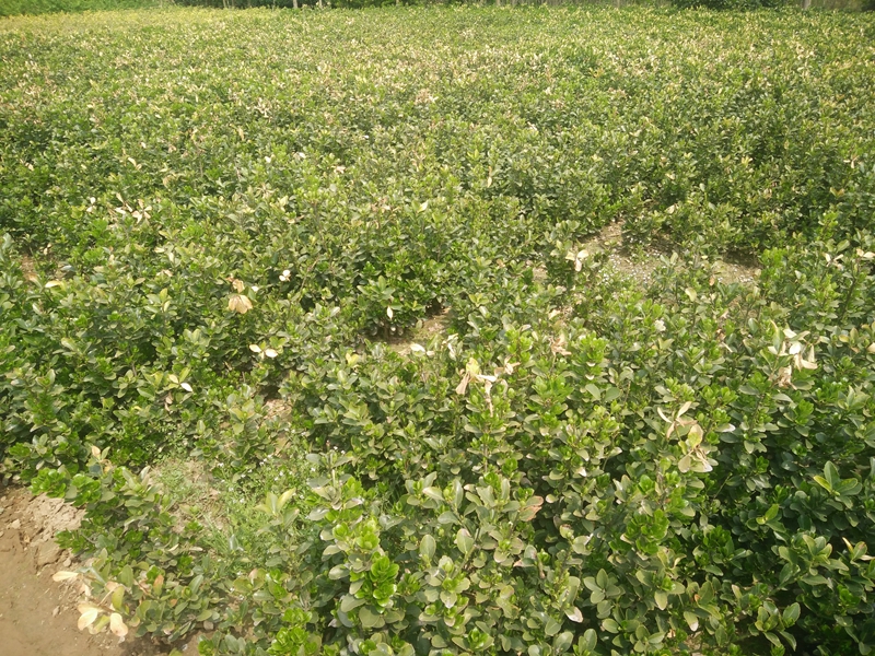 IMG20180402124522.jpg