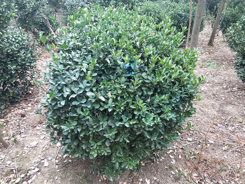 IMG20181014164627.jpg