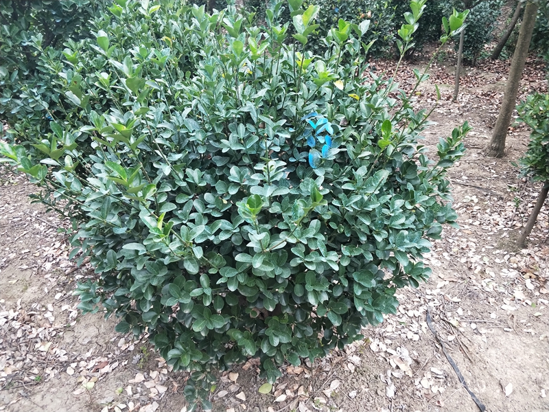 IMG20181014164653.jpg