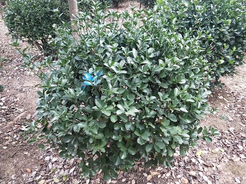 IMG20181014164810.jpg
