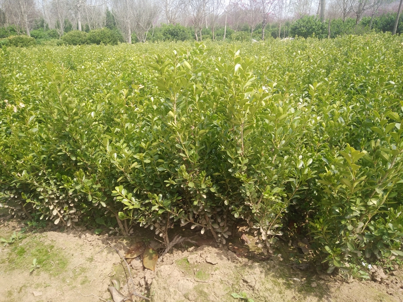 IMG20180402124901.jpg
