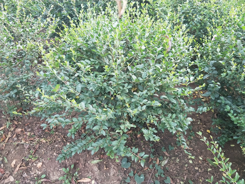 IMG20181009165024.jpg