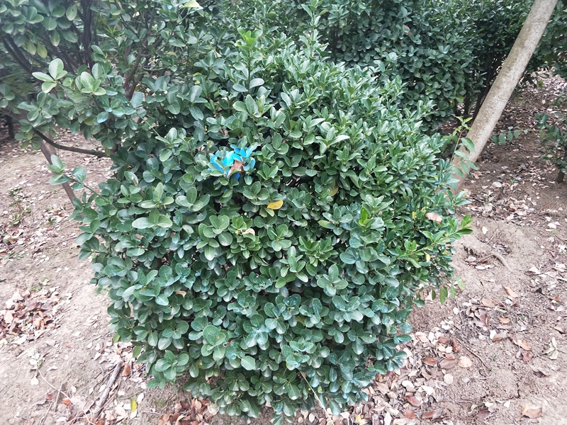 IMG20181014164552.jpg