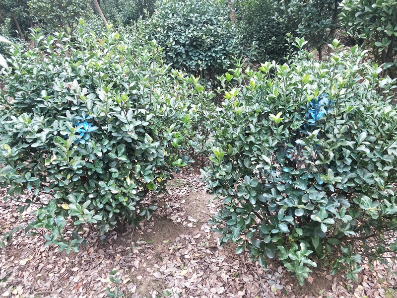 IMG20181014164717.jpg