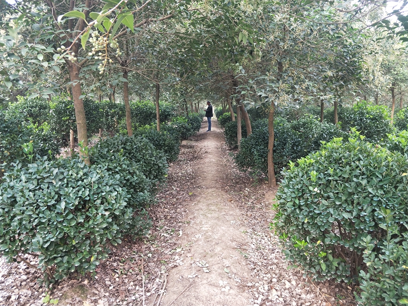 IMG20181015080903.jpg