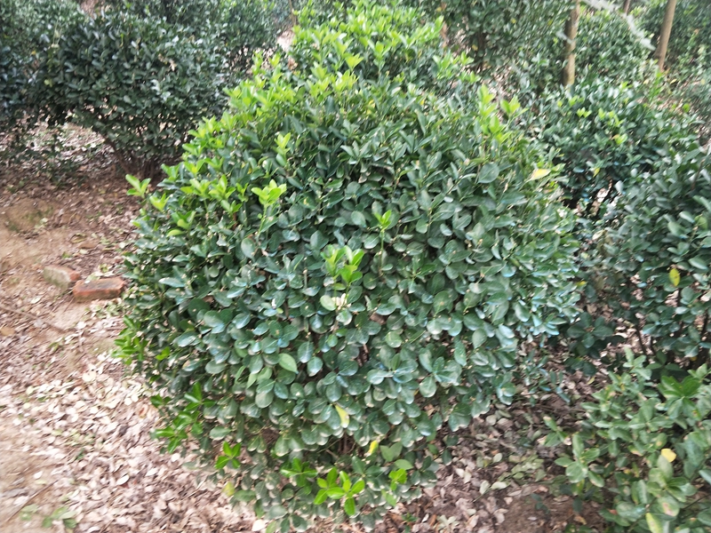 IMG20181015080854.jpg