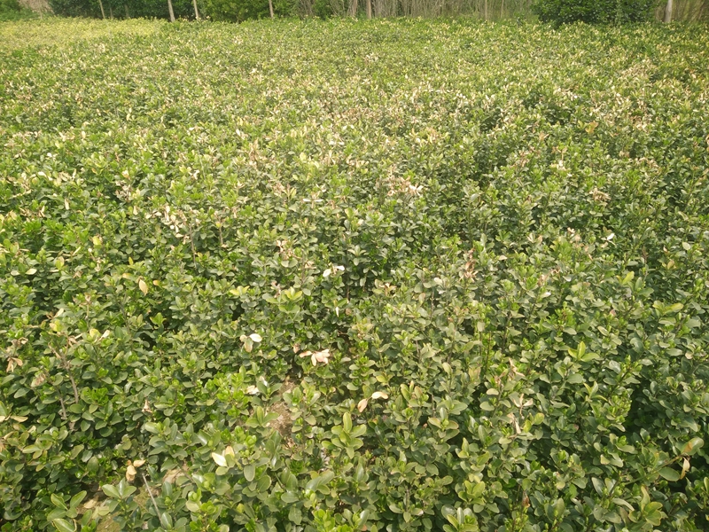 IMG20180402124538.jpg