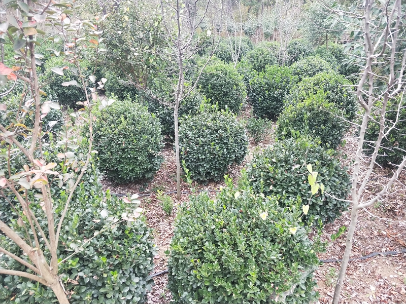 IMG20181014163811.jpg