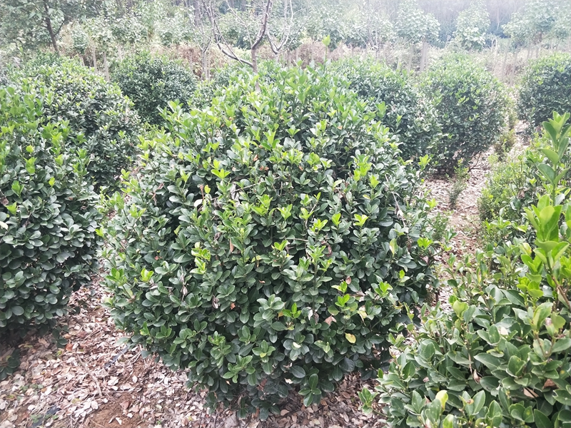 IMG20181014163824.jpg
