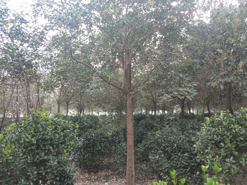 IMG20181015081318.jpg