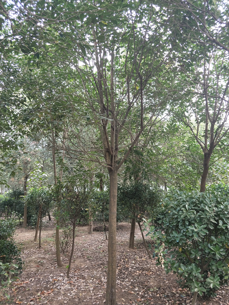 IMG20181015081636.jpg
