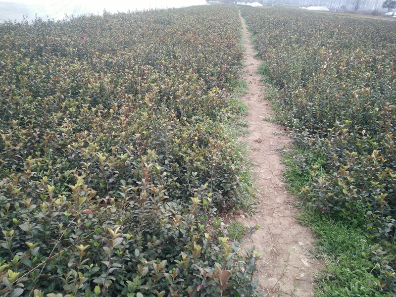 IMG20180317151919.jpg