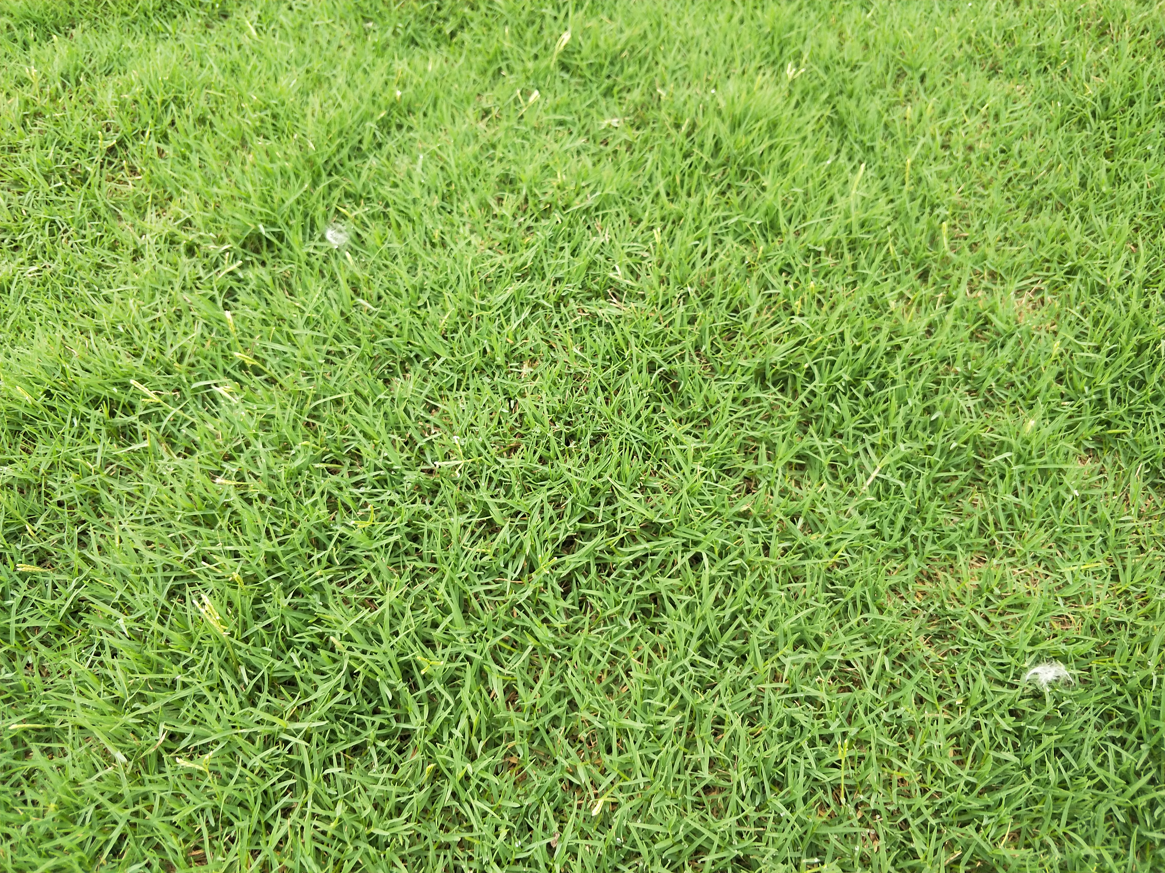 IMG20180630085840.jpg