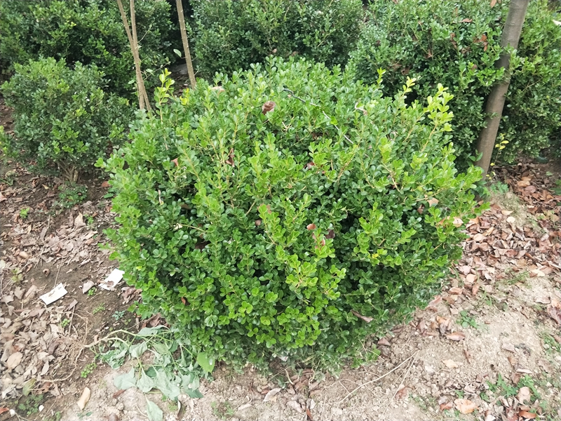 IMG20181014163855.jpg
