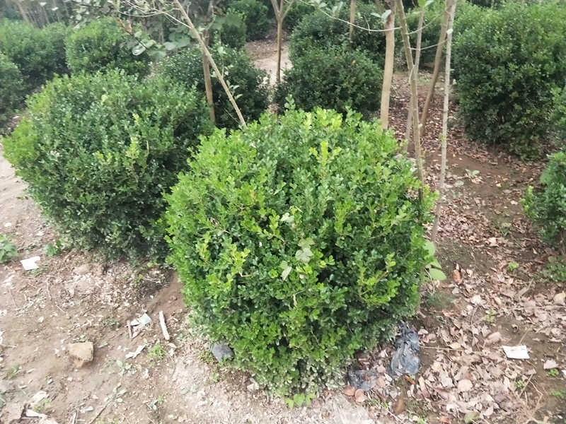 IMG20181014163858.jpg
