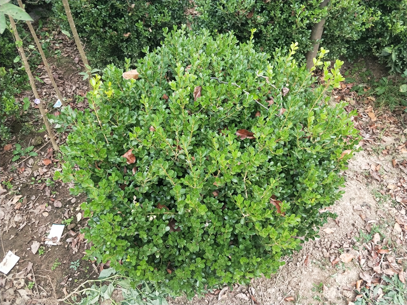 IMG20181014163906.jpg