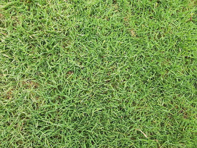 IMG20180704131338.jpg