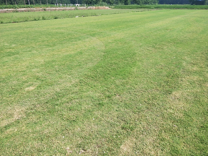 IMG20180802143446.jpg