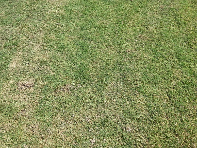 IMG20180802143443.jpg